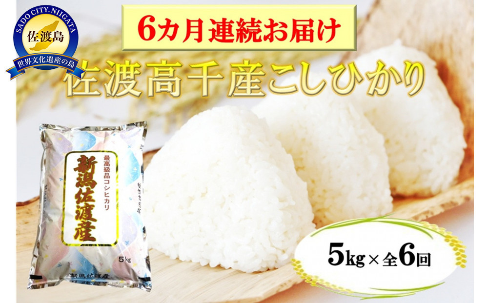 【定期便】佐渡産高千産こしひかり 精米5kg【6ヶ月連続お届け】