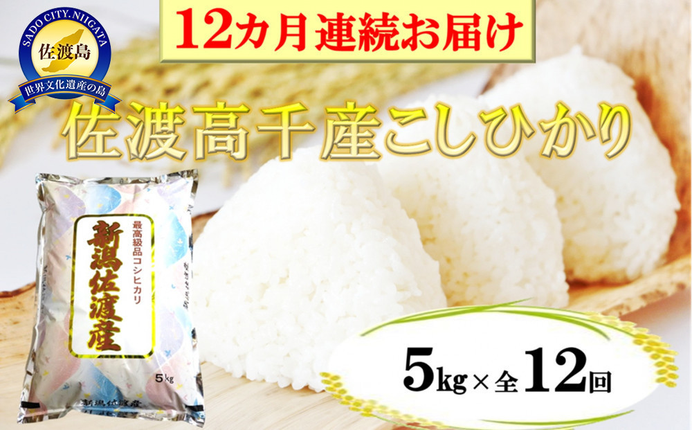 【定期便】佐渡産高千産こしひかり 精米5kg【12ヶ月連続お届け】
