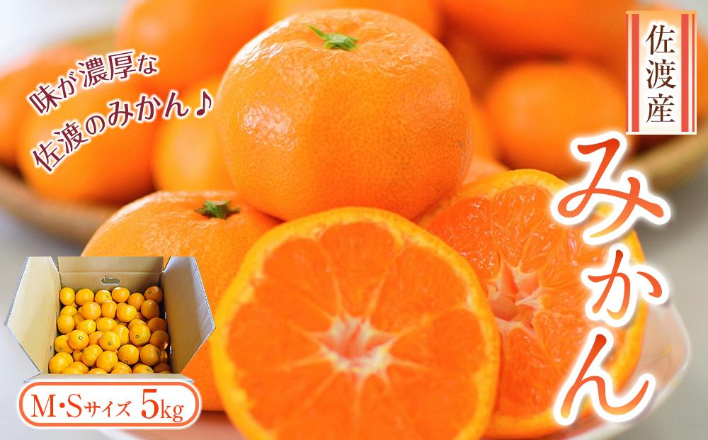 佐渡産みかん　M・Sサイズ　約5kg