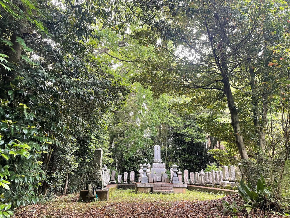 お掃除代行サービス