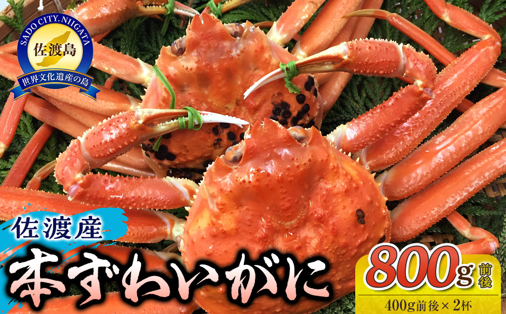 佐渡産 本ずわいがに 800g前後（400g前後×2杯）
