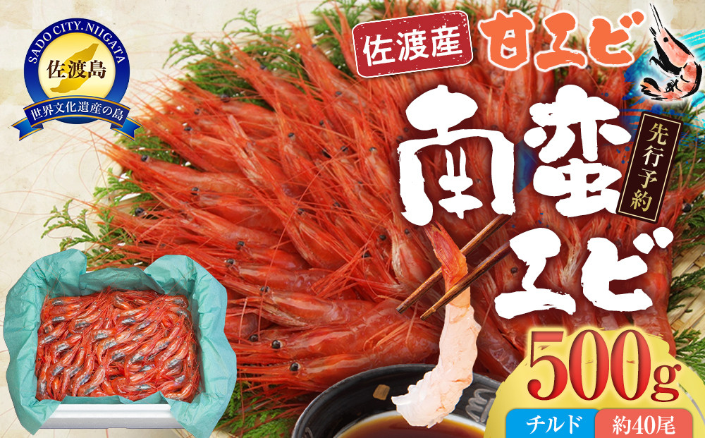 【先行予約】【令和8年2月上旬以降発送】佐渡産 南蛮エビ（甘エビ）チルド 500g（約40尾）