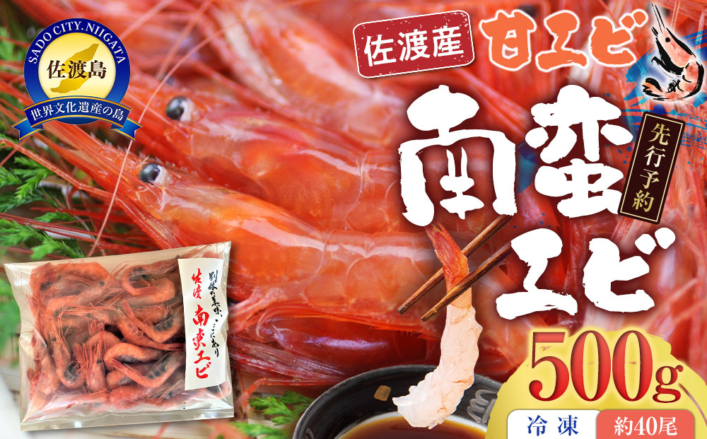 【先行予約】【令和8年1月中旬以降発送】佐渡産 南蛮エビ（甘エビ）冷凍 500g（約40尾）