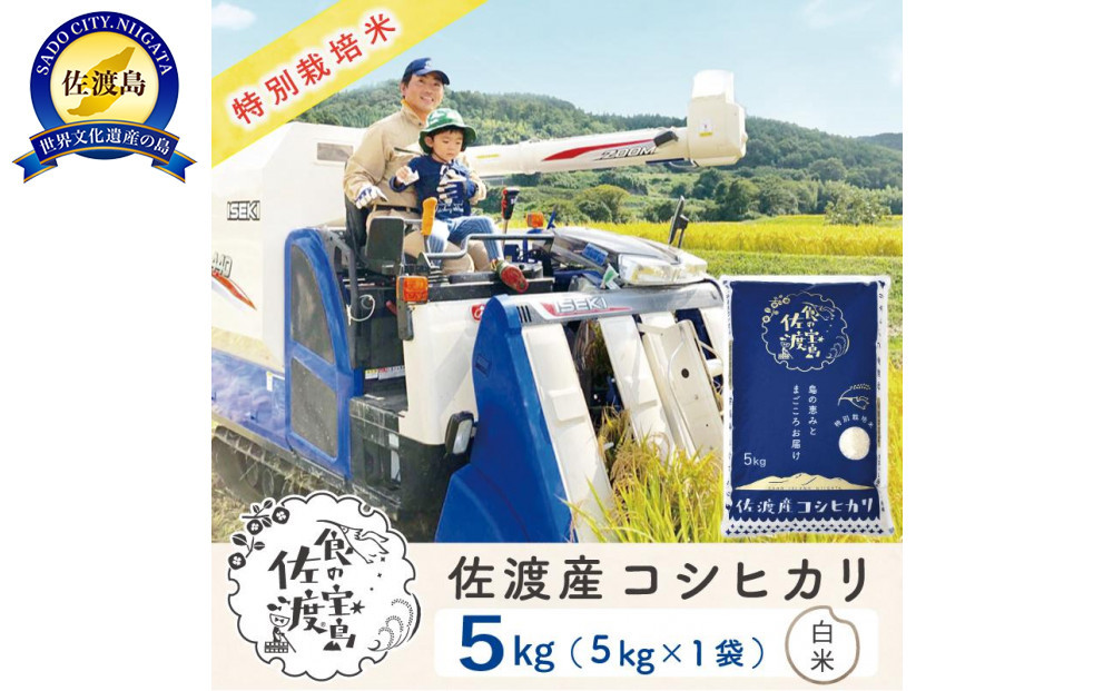 佐渡島産コシヒカリ 白米5kg 特別栽培米 農家直送