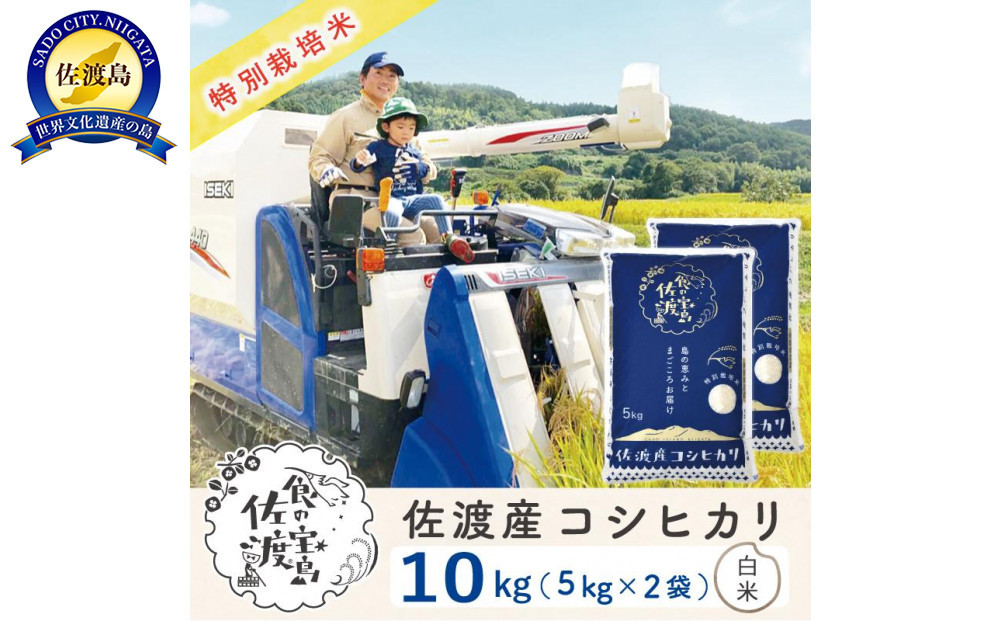 佐渡島産コシヒカリ 白米10kg（5kg×2袋） 特別栽培米 農家直送