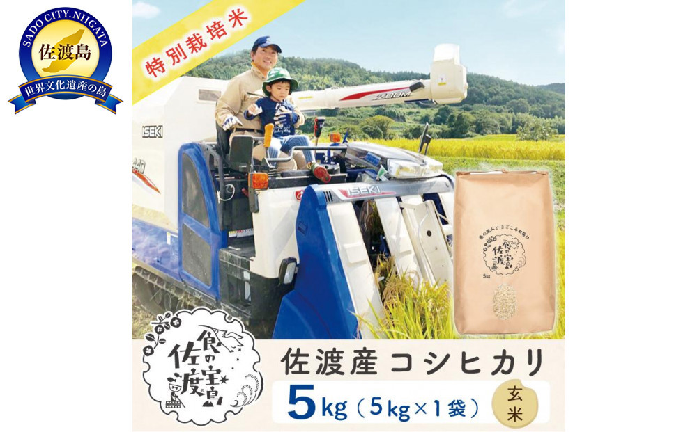 佐渡島産コシヒカリ 玄米5kg 特別栽培米 農家直送