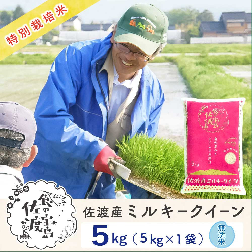 佐渡島産ミルキークイーン 無洗米5kg 令和7年産 特別栽培米