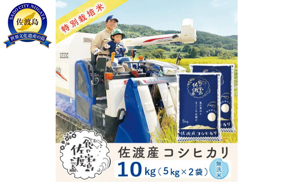 佐渡島産コシヒカリ 無洗米10kg（5kg×2袋） 特別栽培米 農家直送