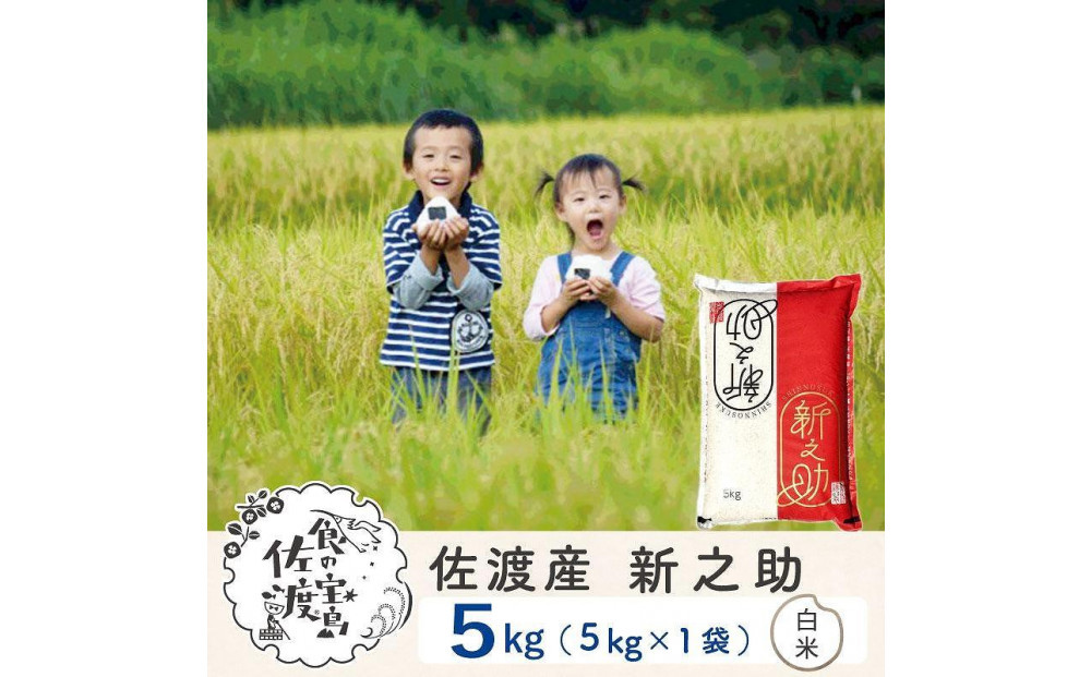 佐渡島産 新之助 白米5kg×1袋
