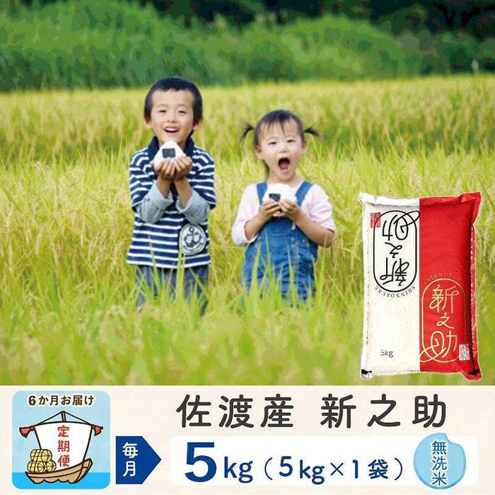 【6か月定期便】佐渡島産 新之助 無洗米5Kg 令和7年