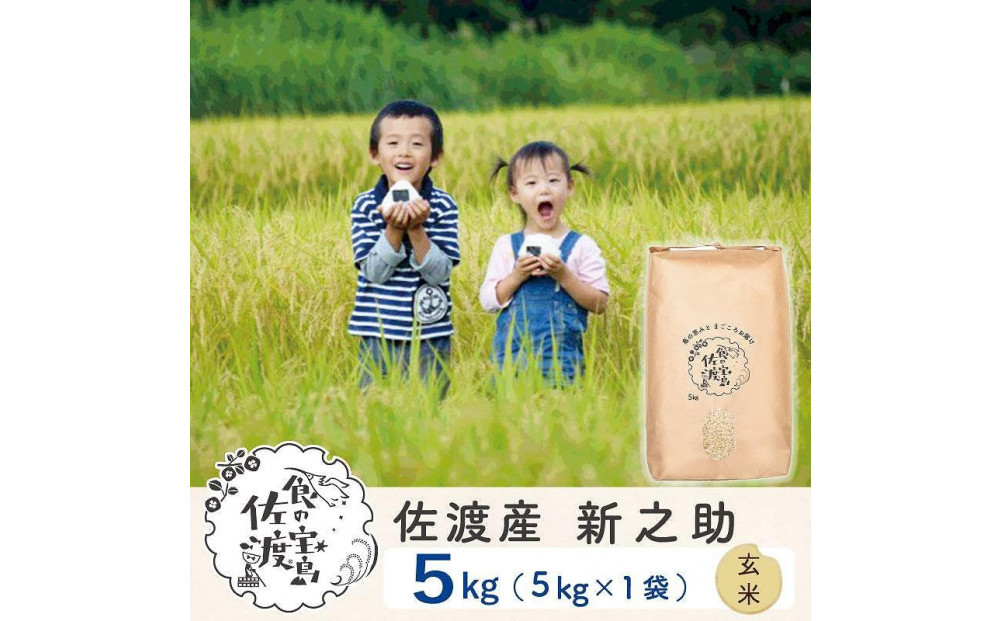 佐渡島産 新之助 玄米5kg×1袋