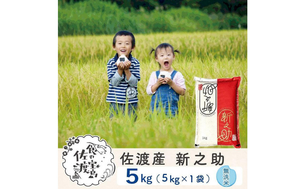佐渡島産 新之助 無洗米5kg×1袋