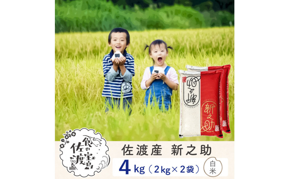 佐渡島産 新之助 白米4kg（2Kg×2袋）