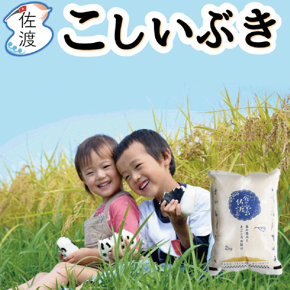 【食の宝島佐渡】佐渡島産こしいぶき 白米2Kg（2Kg×1袋） 令和7年産