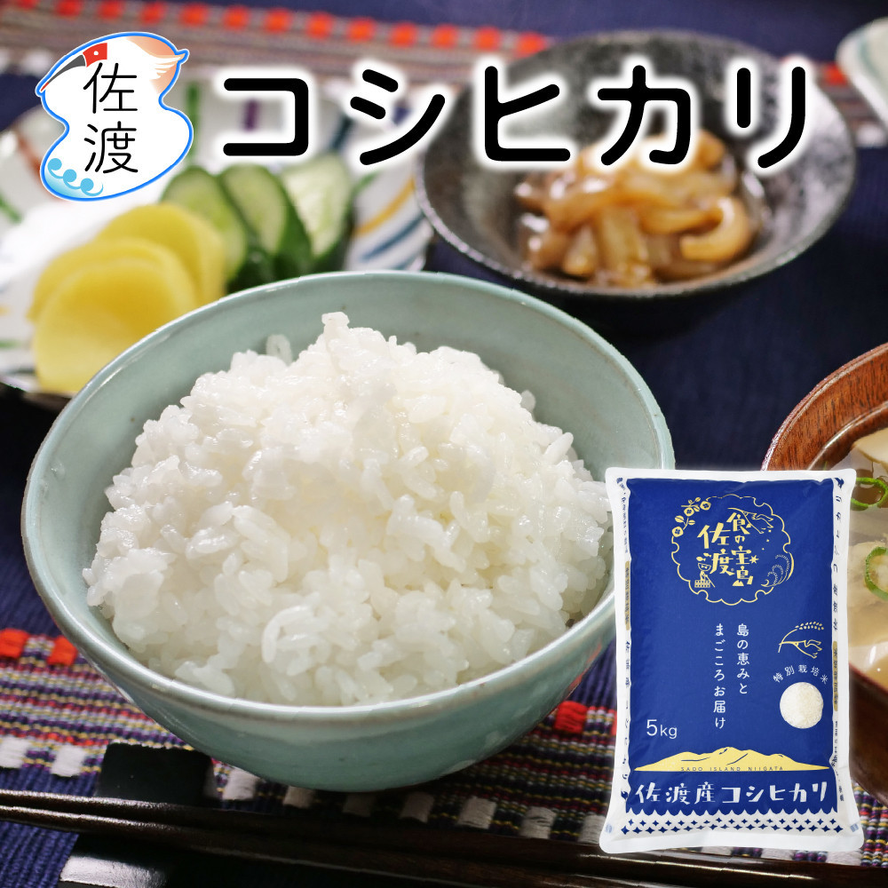 佐渡島産コシヒカリ 無洗米5kg（5kg×1袋） 農薬・化学肥料5割減【食の宝島佐渡】