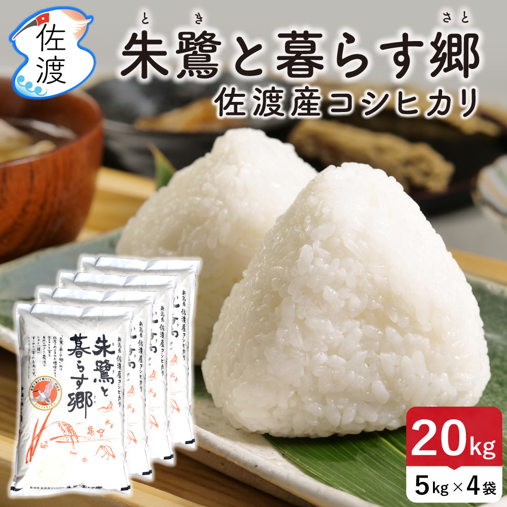 佐渡島産コシヒカリ「朱鷺と暮らす郷」無洗米20kg(5kg×4袋) 令和7年産 特別栽培米