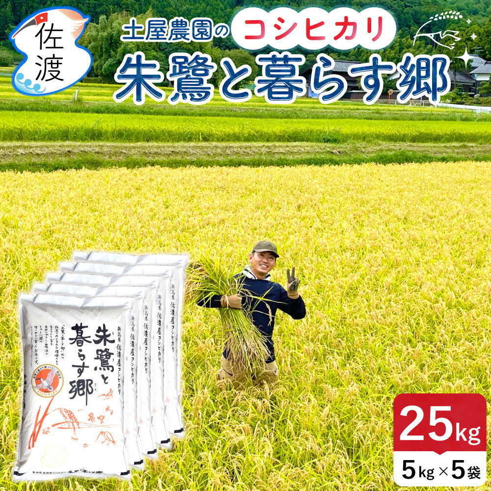 佐渡島産コシヒカリ「朱鷺と暮らす郷」無洗米25kg(5kg×5袋) 土屋農園 令和7年産 特別栽培米