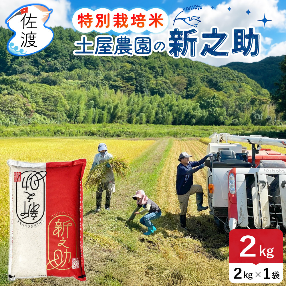 佐渡島産新之助 白米2Kg（2Kg×1袋） 土屋農園 特別栽培米 令和7年産【食の宝島佐渡】