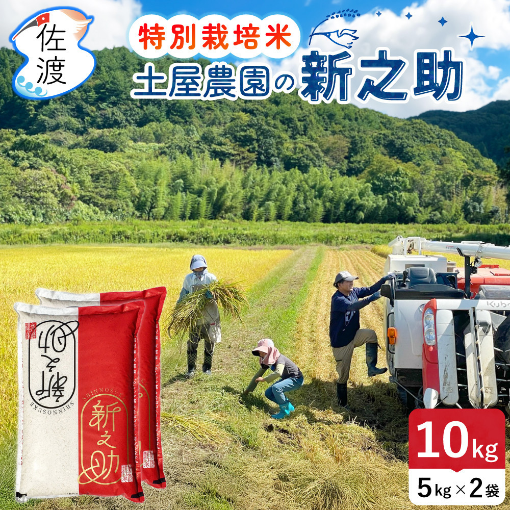 佐渡島産新之助 白米10Kg（5Kg×2袋） 土屋農園 特別栽培米 令和7年産【食の宝島佐渡】