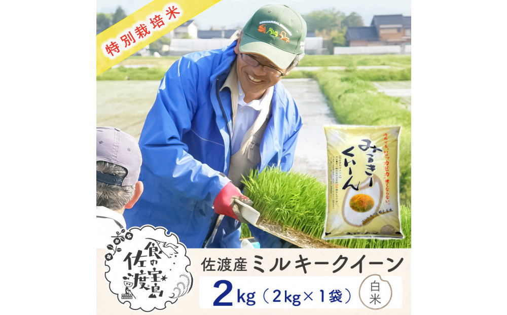 佐渡島産ミルキークイーン 白米2Kg 令和7年産 特別栽培米