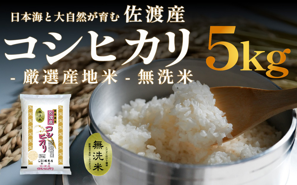 無洗米佐渡産コシヒカリ 5kg 令和7年産