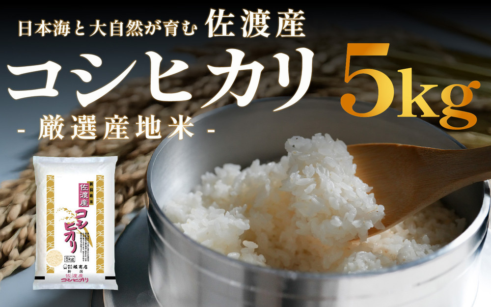 佐渡産コシヒカリ 5kg 令和7年産