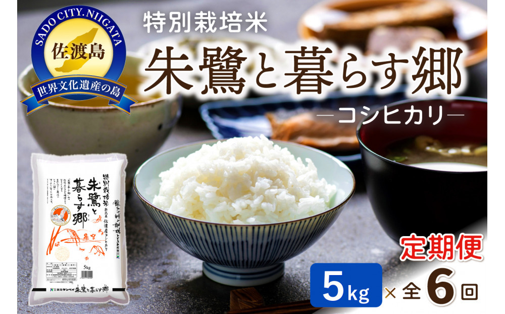 【6ヶ月連続お届け】佐渡産コシヒカリ 朱鷺と暮らす郷（5kg）