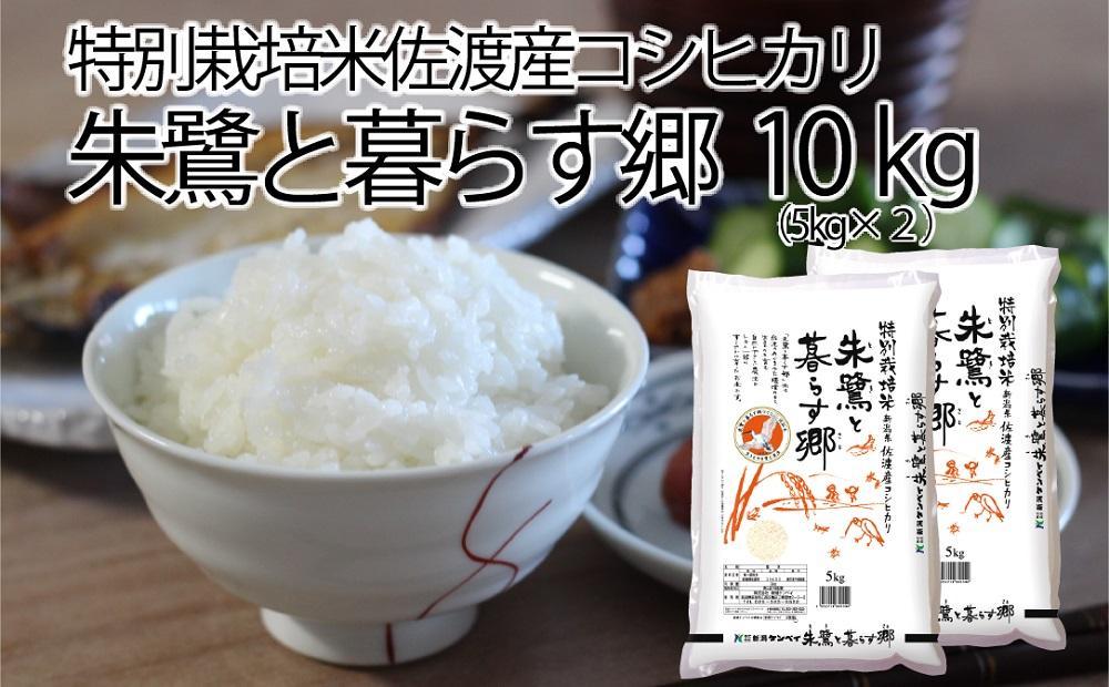 佐渡産コシヒカリ 朱鷺と暮らす郷（10kg（5kg×2））