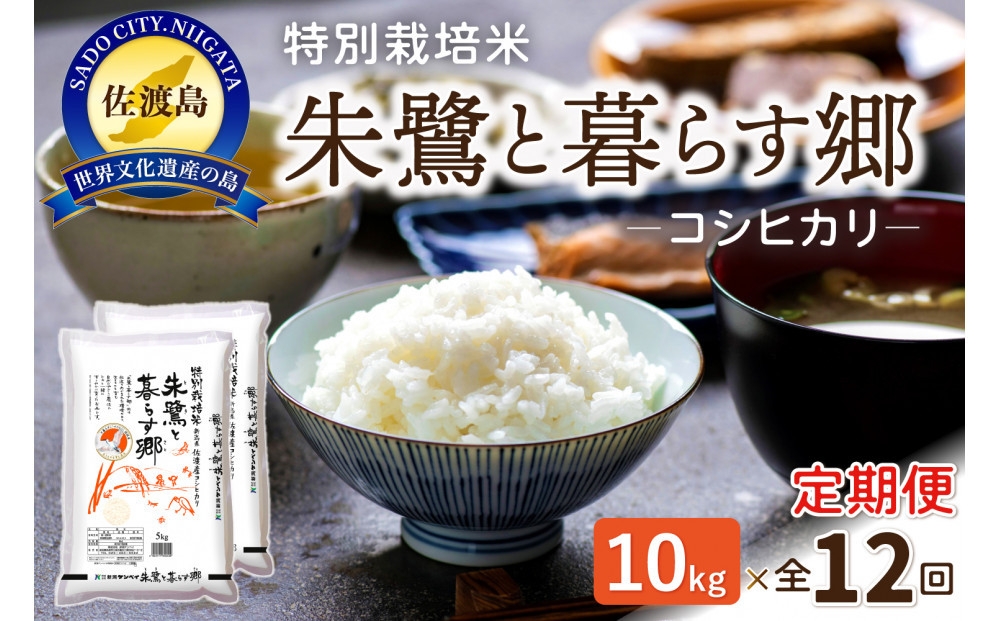 【12ヶ月連続お届け】佐渡産コシヒカリ 朱鷺と暮らす郷（10kg（5kg×2））