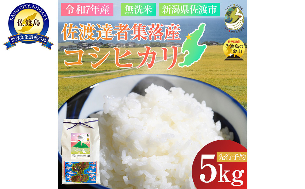 【新潟県佐渡】達者集落産コシヒカリ＜数量限定・生産地域限定＞ 令和７年産 精米【無洗米】5kg 送料無料