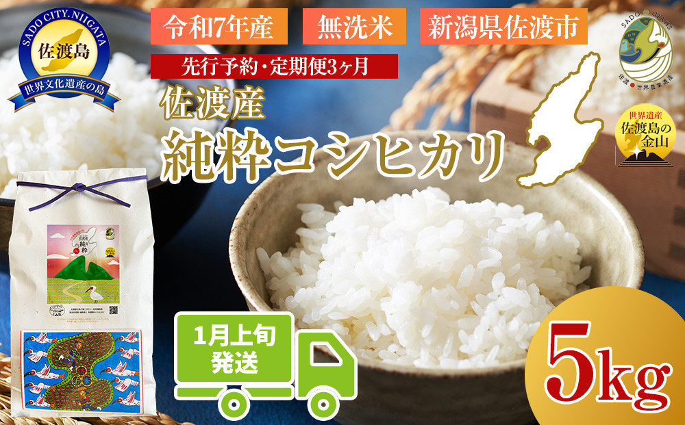 ＜定期便3回＞【令和７年産・数量限定】新潟県佐渡産の純粋コシヒカリ　精米【無洗米】5kg×3回　送料無料　R8年  1月上旬～R8年3月上旬の3回送付