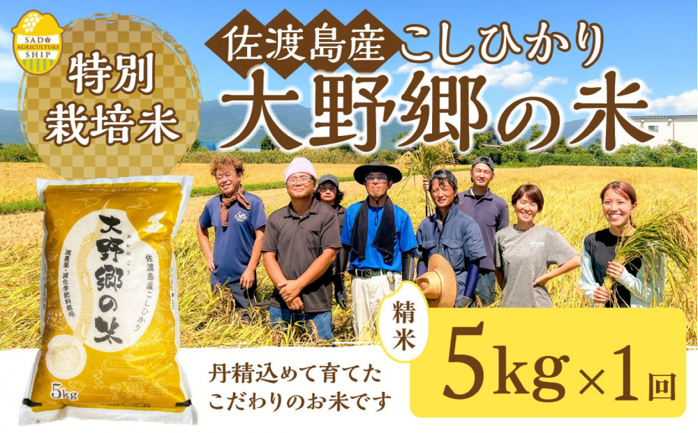 【令和7年産】佐渡島産 特別栽培米こしひかり「大野郷の米」 精米5kg×１袋