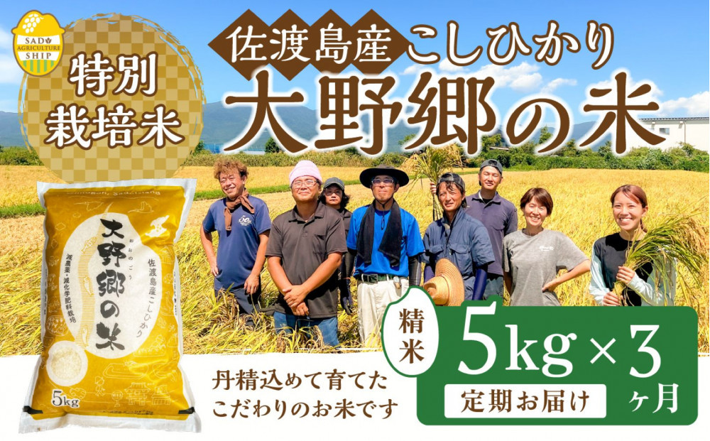 【令和７年産】佐渡島産 特別栽培米こしひかり「大野郷の米」精米5kg×３回 定期お届けコース