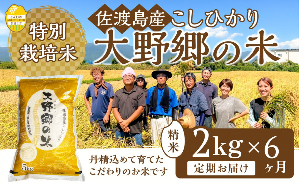 【令和7年産】佐渡島産 特別栽培米こしひかり「大野郷の米」精米2kg×6回 定期お届けコース