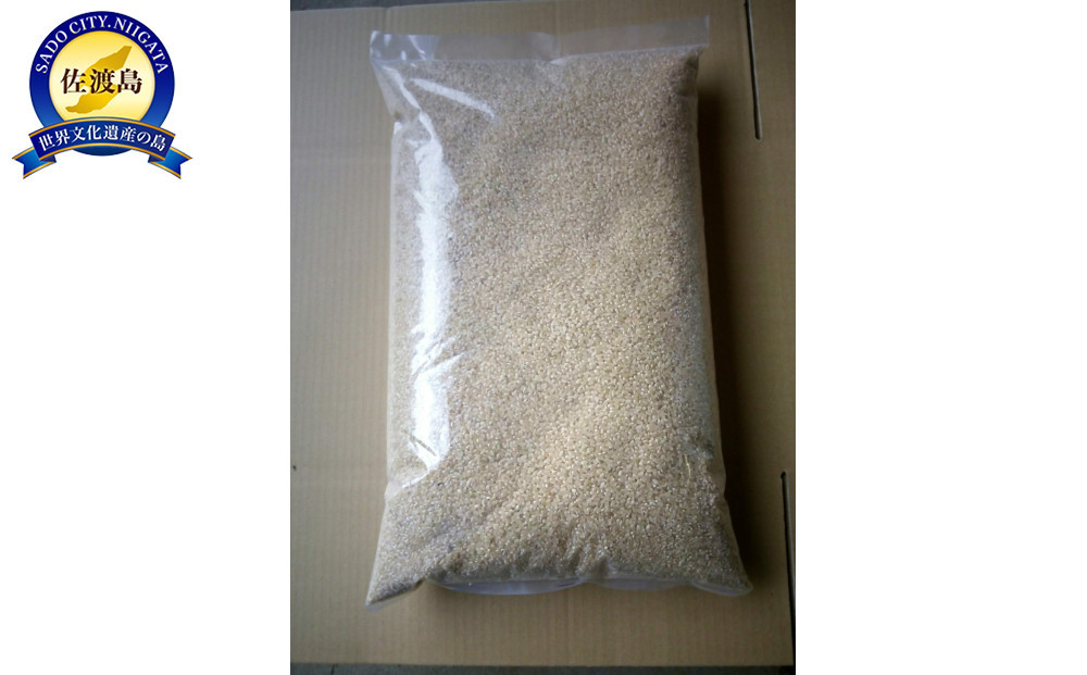 【令和7年度産】高島農場の農薬不使用ササニシキ10kg玄米