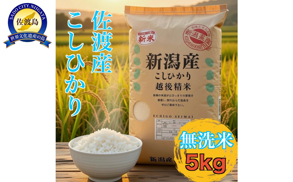 【佐渡島が誇る極上コシヒカリ】無洗米 佐渡産コシヒカリ 5kg