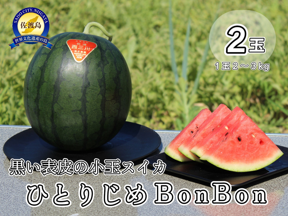 【先行予約】佐渡西三川・松丘農園の名産品小玉スイカ「ひとりじめBonBon]２個（1玉2～3kg）