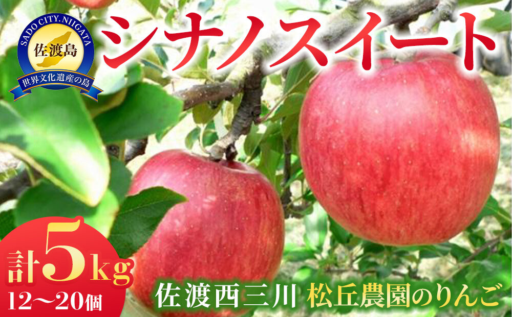 【10月上旬以降発送】佐渡 西三川・松丘農園のりんご「シナノスイート」12個～20個　計5kg