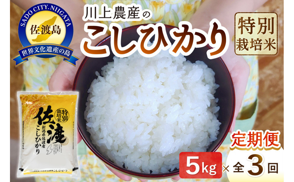 令和7年産 佐渡 川上農産のコシヒカリ 定期便（5kg×全3回）