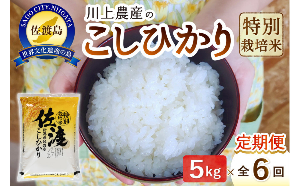 令和7年産 佐渡 川上農産のコシヒカリ 定期便（5kg×全6回）