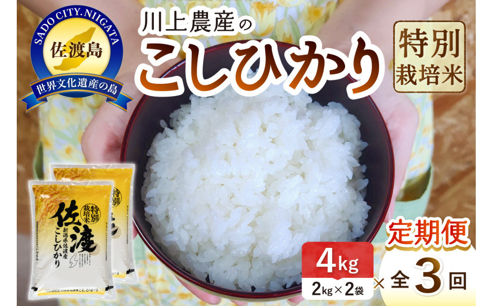令和7年産 佐渡 川上農産のコシヒカリ 定期便（2kg×2×全3回）