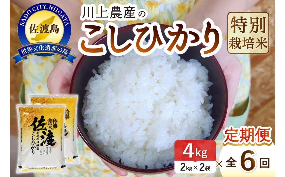 令和7年産 佐渡 川上農産のコシヒカリ 定期便（2kg×2×全6回）