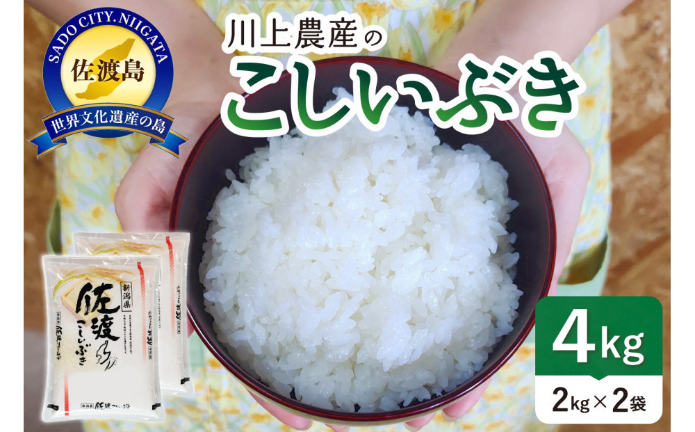 令和7年産 佐渡 川上農産のこしいぶき（2kg×2）