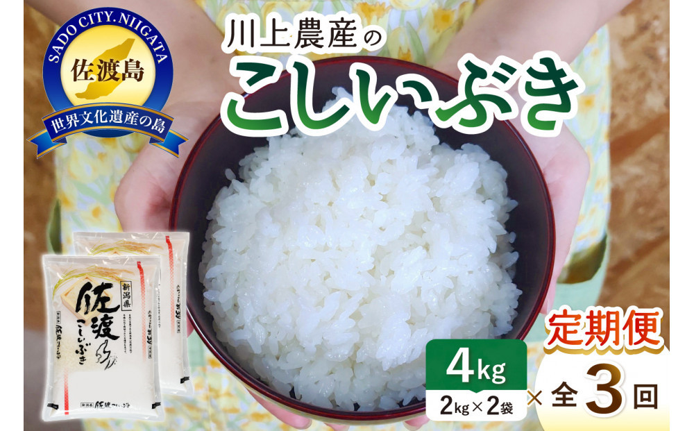 令和7年産 佐渡 川上農産のこしいぶき 定期便（2kg×2×全3回）