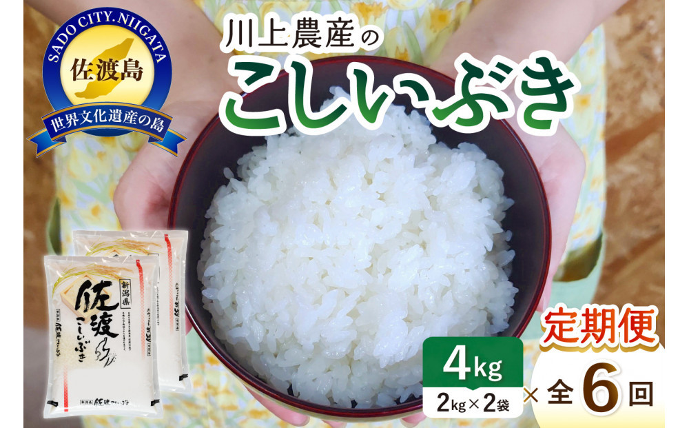 令和7年産 佐渡 川上農産のこしいぶき 定期便（2kg×2×全6回）