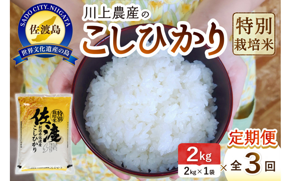 令和7年産 佐渡 川上農産のコシヒカリ 定期便（2kg×全3回）