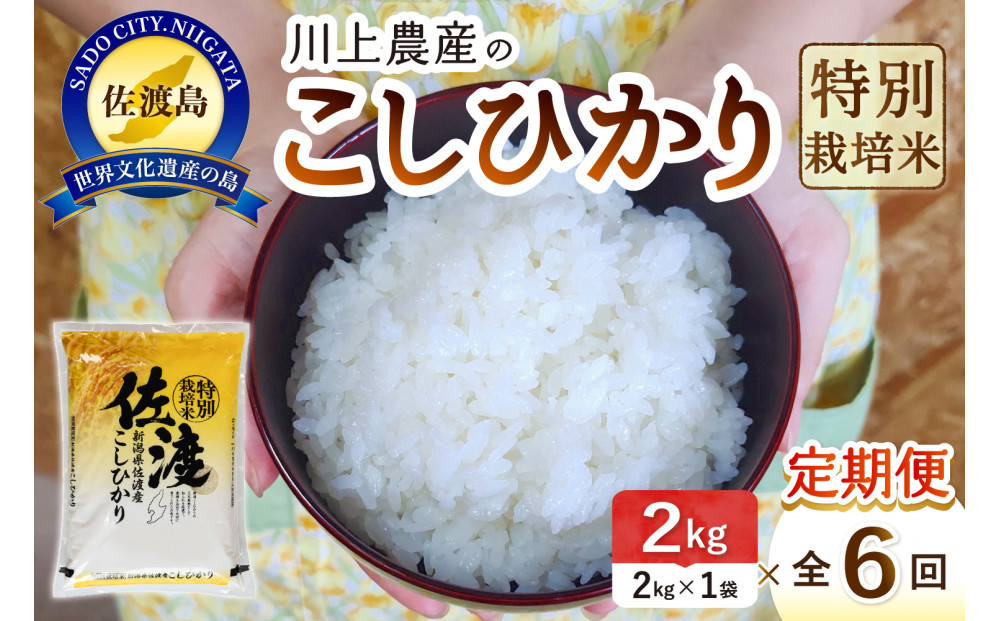 令和7年産 佐渡 川上農産のコシヒカリ 定期便（2kg×全6回）