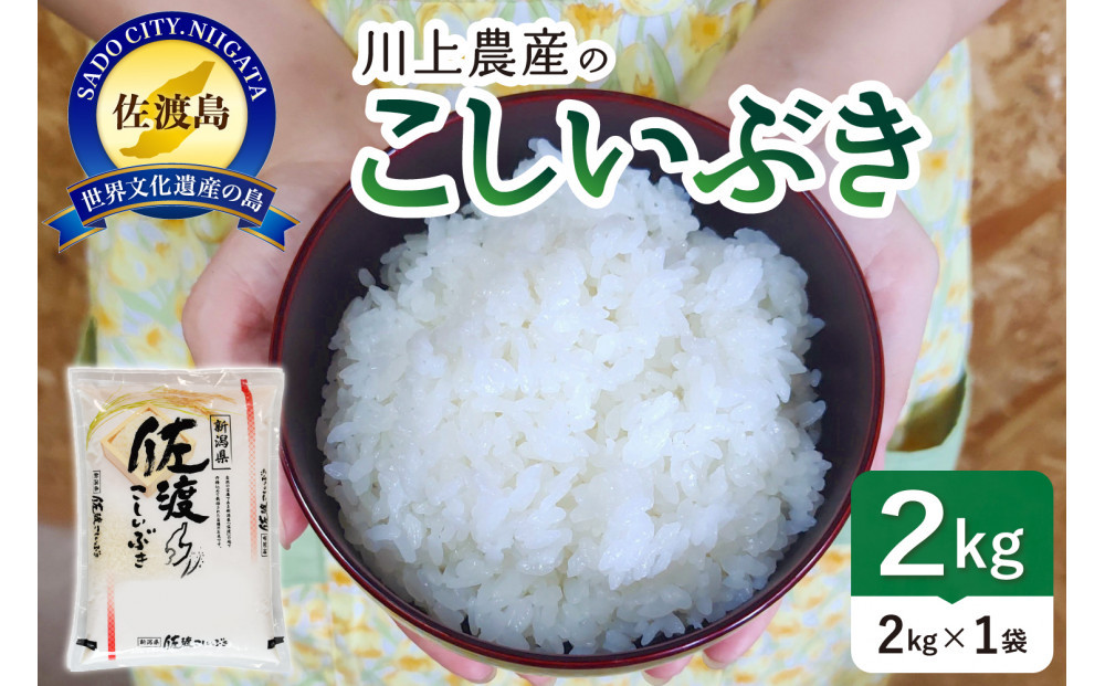 令和7年産 佐渡 川上農産のこしいぶき（2kg）
