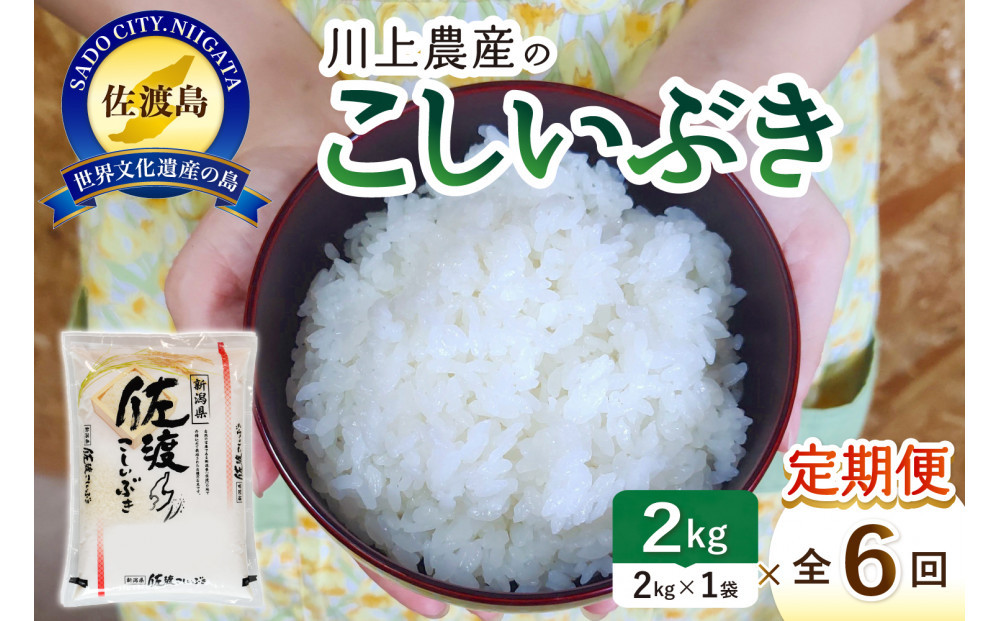 令和7年産 佐渡 川上農産のこしいぶき 定期便（2kg×全6回）