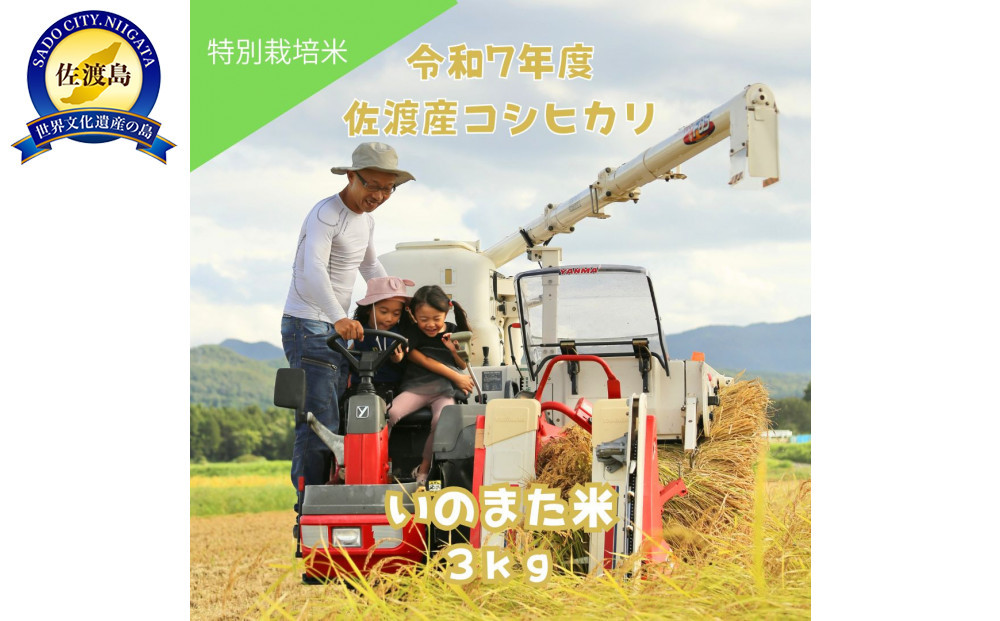 令和7年産コシヒカリ　精米（無洗米）3kg　農家直送　佐渡市いのまた米